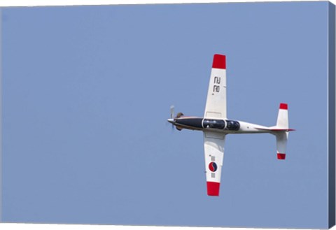 Framed T-50 Golden Eagle Print