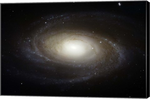 Framed Spiral Galaxy M81 Print