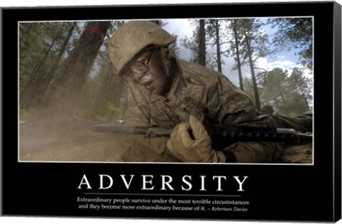 Framed Adversity: Inspirational Quote and Motivational Poster Print