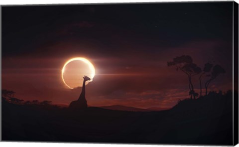 Framed Solar Eclipse over Africa Print