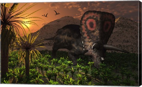 Framed Lone Torosaurus Dinosaur Print