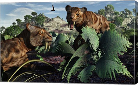 Framed Sabre-Toothed Tigers in Pleistocene Time Print