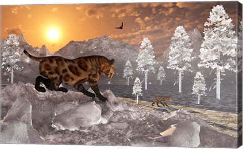 Framed Sabre Tooth Tigers in Winter Print