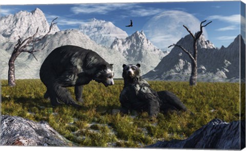 Framed Arctodus Bears Print