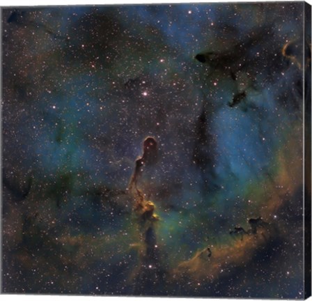 Framed IC 1396, the Elephant Trunk Nebula Print