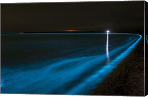 Framed Bioluminescence in Waves in the Gippsland Lakes Print