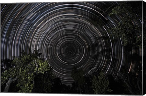 Framed Southern Sky Star Trails Print