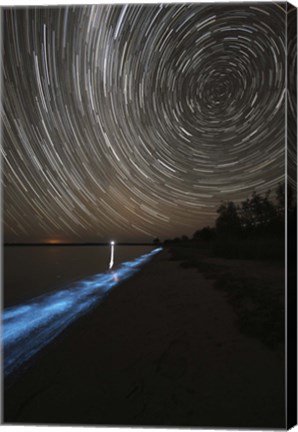 Framed Star Trails over Bioluminescence Print