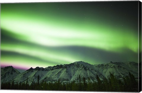 Framed Bright Aurora Borealis over Annie Lake Print