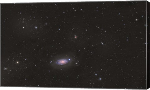 Framed Sunflower Galaxy Print