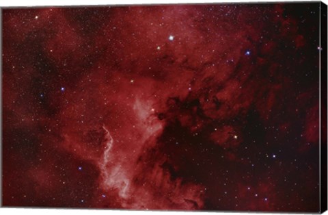 Framed NGC 7000, The North America Nebula Print