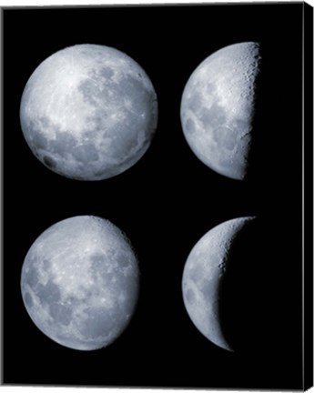 Framed Four Phases of the Moon Print