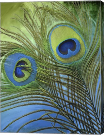Framed Peacock Candy I Print