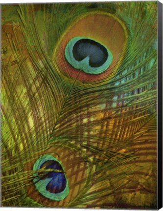 Framed Peacock Candy II Print