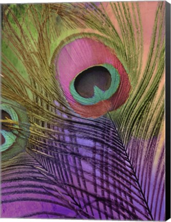 Framed Peacock Candy III Print