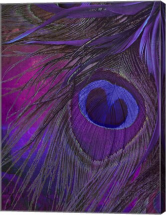 Framed Peacock Candy IV Print