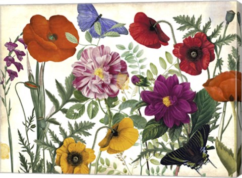 Framed Printemps I Print