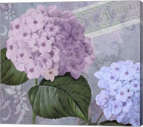 Framed Hortensia 2 Print