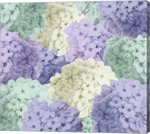 Framed Hortensia Groundless Cool Tones Print