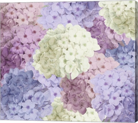 Framed Hortensia Groundless Warm Tones Print