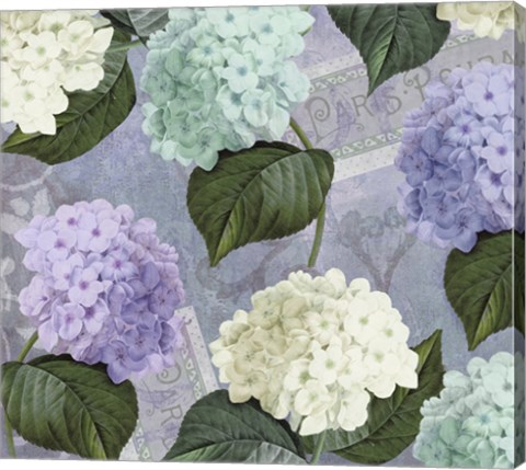 Framed Hortensia Lavenders Print