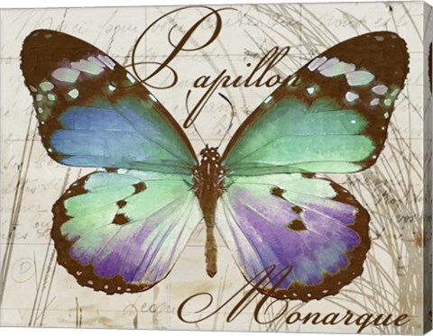 Framed Papillon I Print