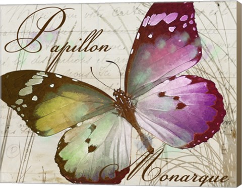Framed Papillon II Print