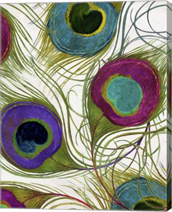 Framed Peacock Feathers I Print