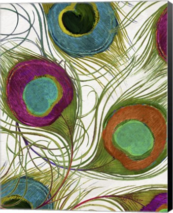 Framed Peacock Feathers II Print