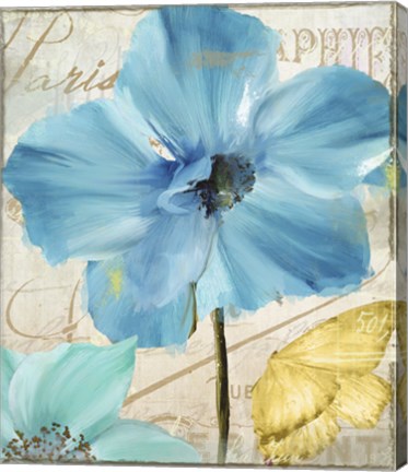 Framed Blue Mountain Poppy Print