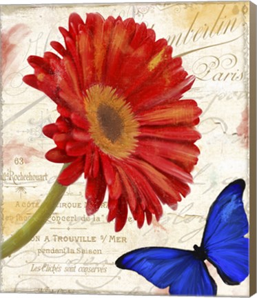 Framed Gerbera Daisy Print