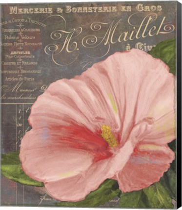 Framed Peach Hibiscus Print