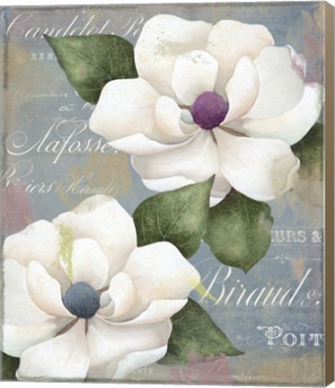 Framed Southern Charms Print