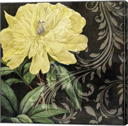 Framed Ode to Yellow I Print