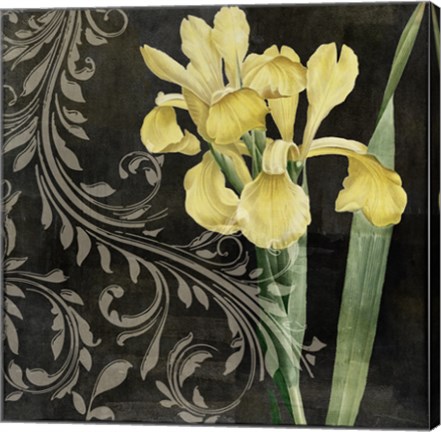 Framed Ode to Yellow II Print