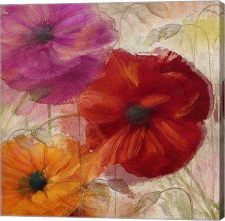 Framed Penchant For Poppies I Print