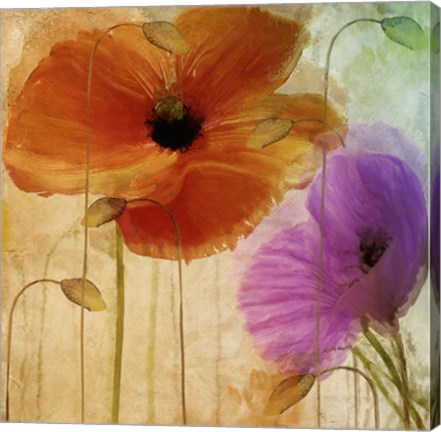 Framed Penchant For Poppies II Print