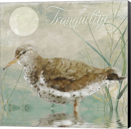 Framed Sand Piper II Print