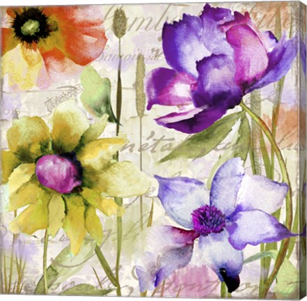 Framed Afterglow II Print