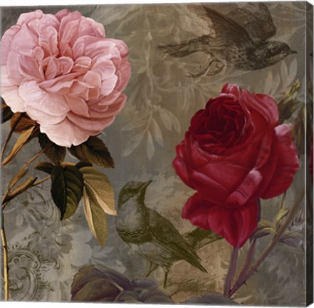 Framed Bird and Roses I Print