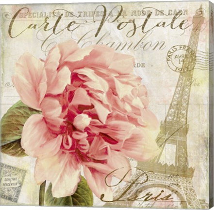 Framed Bonjour One Print