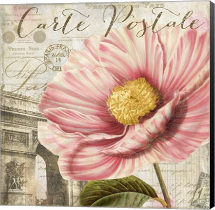 Framed Bonjour Two Print