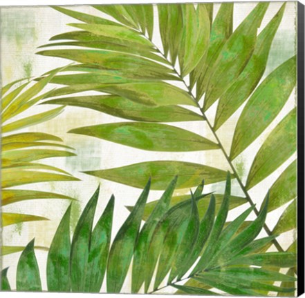 Framed Brasilia II Print