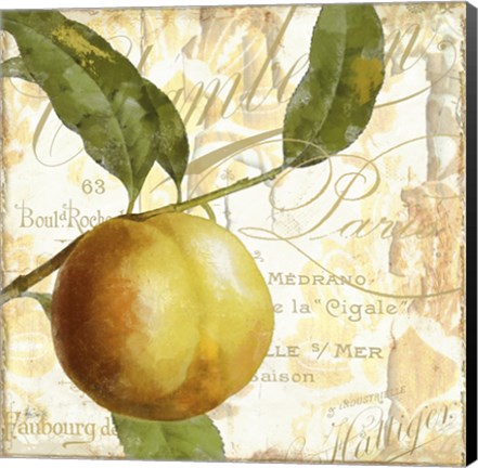 Framed Cafe d&#39;Or V Print