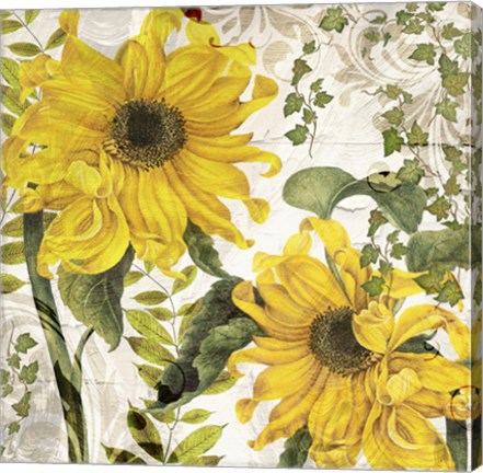 Framed Carina I Print