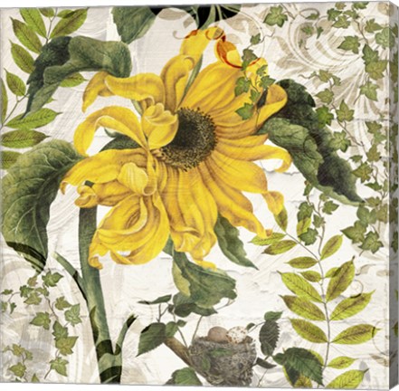 Framed Carina II Print