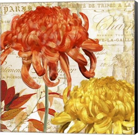 Framed Chrysanthemes I Print