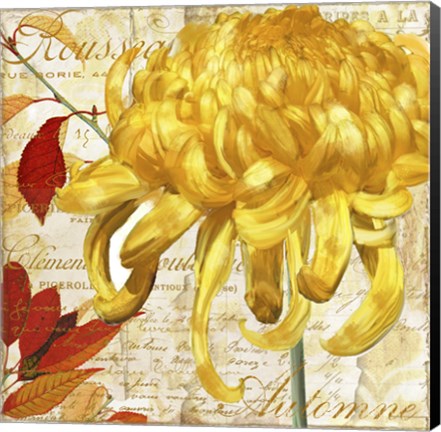 Framed Chrysanthemes II Print