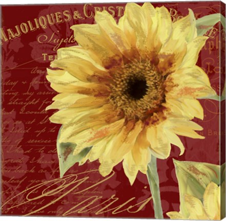 Framed Ete III Print