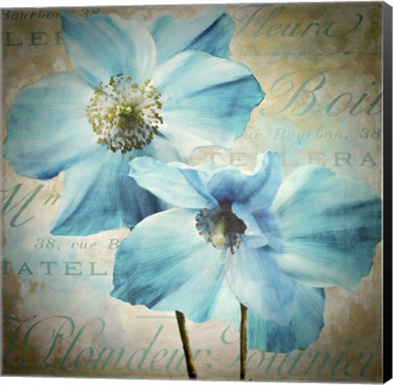 Framed Himalayan Blue I Print